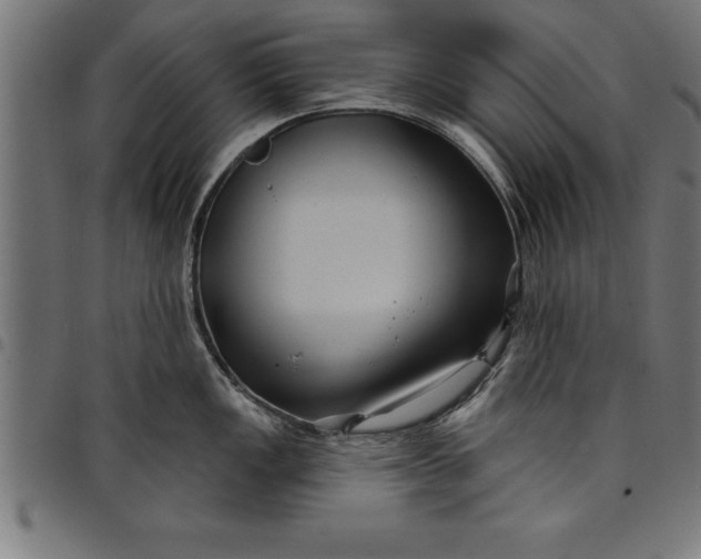 X0000097891149200803281240