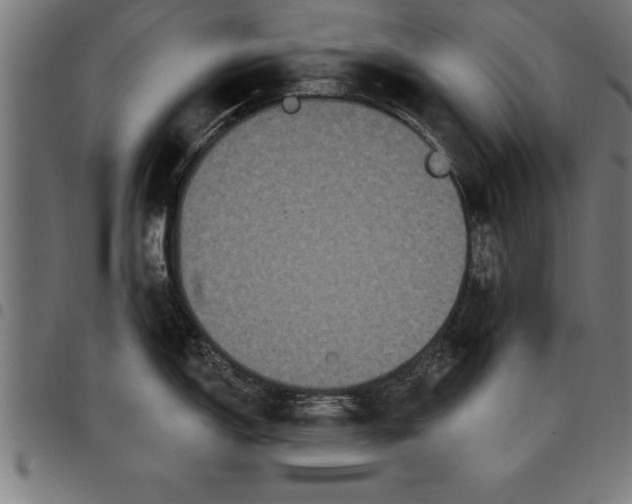 X0000097891150200803281240