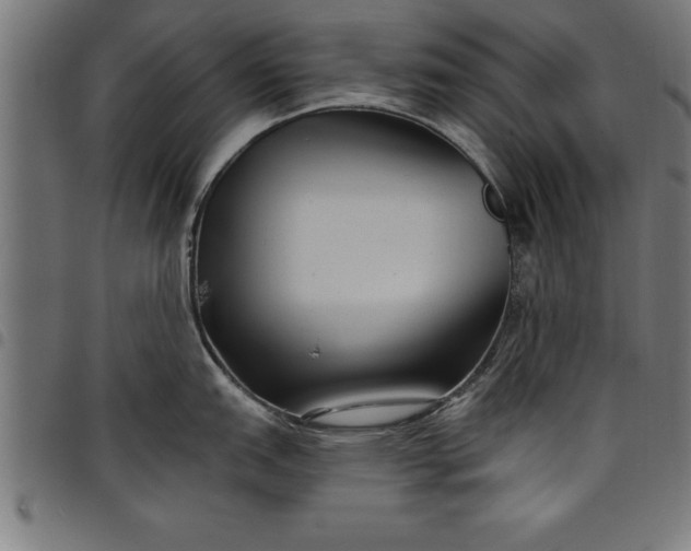 X0000097891151200803281240