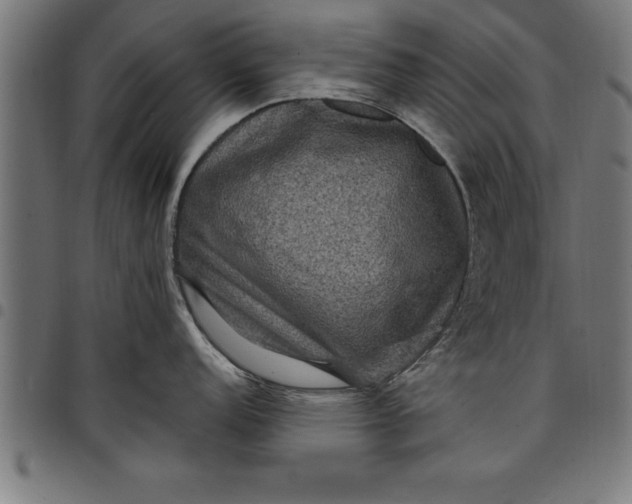 X0000097891152200803281240