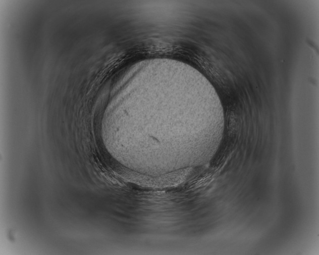 X0000097891153200803281239