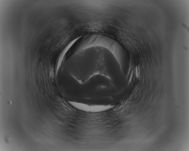 X0000097891155200803281239