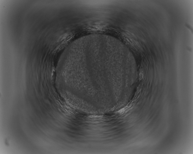 X0000097891156200803281239