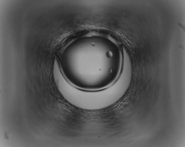 X0000097891157200803281239