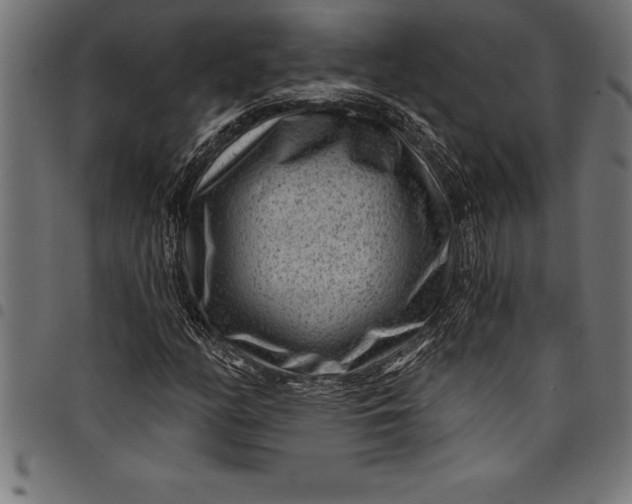 X0000097891158200803281239