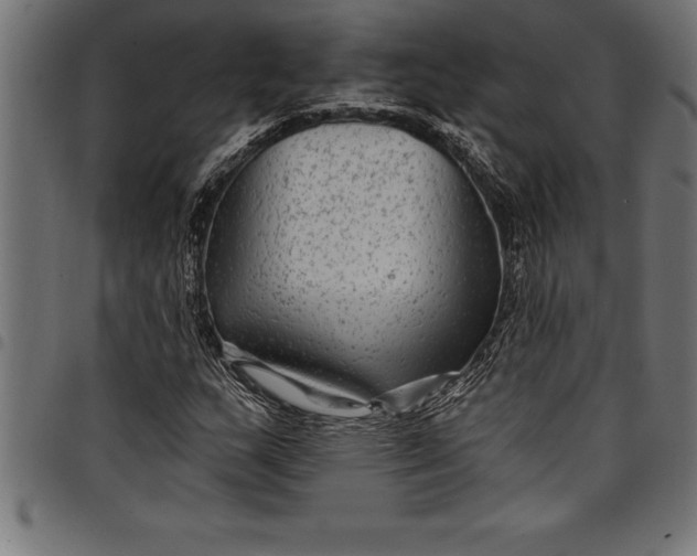 X0000097891159200803281239