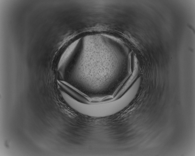 X0000097891160200803281239