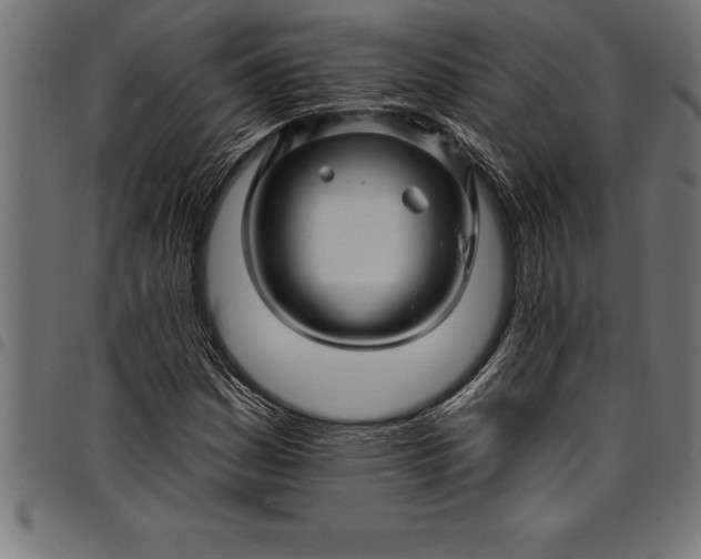 X0000097891161200803281239