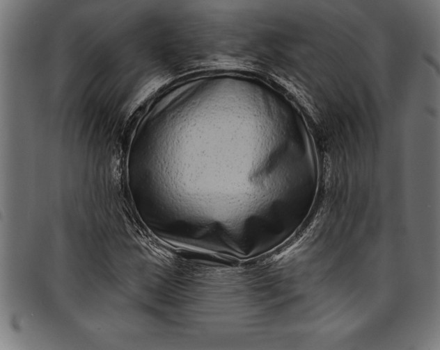 X0000097891163200803281239