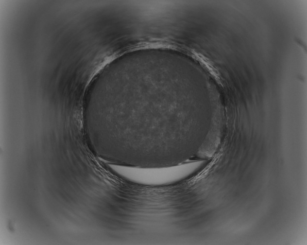 X0000097891165200803281239