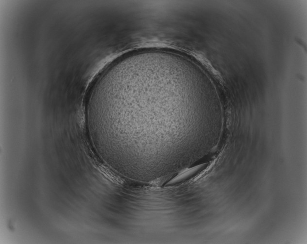 X0000097891167200803281239