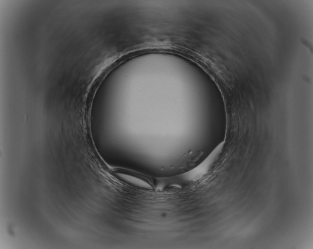 X0000097891168200803281239