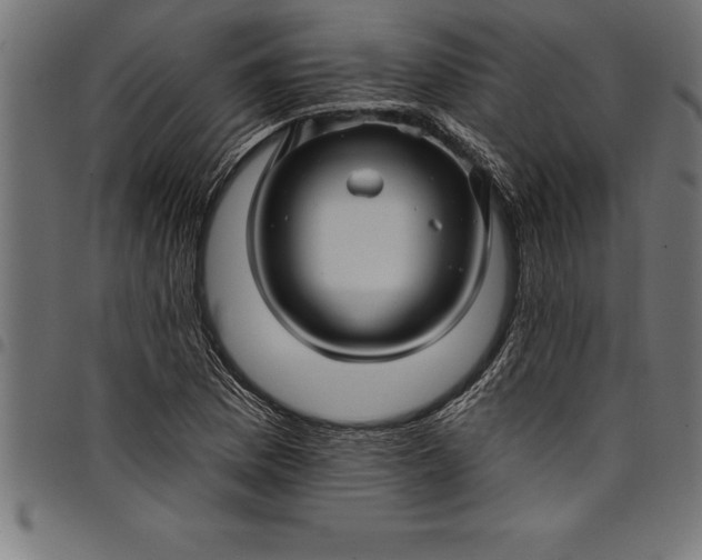 X0000097891169200803281239