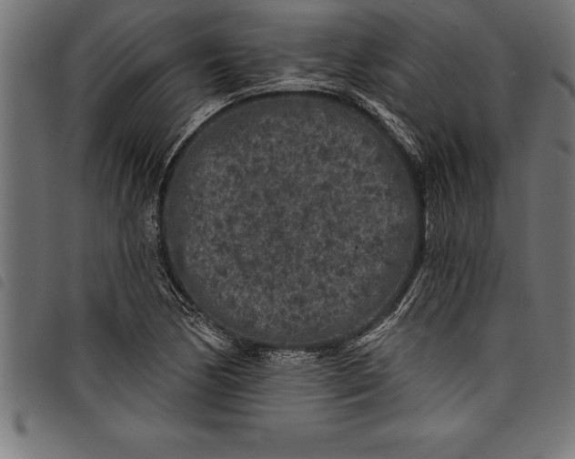 X0000097891170200803281239