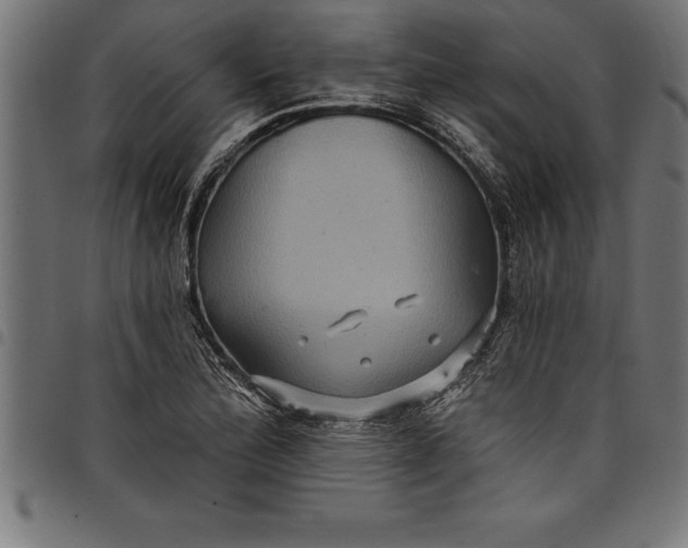 X0000097891172200803281239