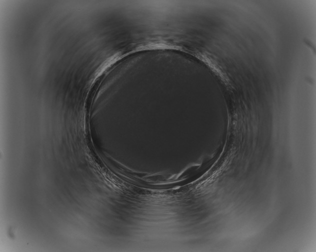 X0000097891173200803281239