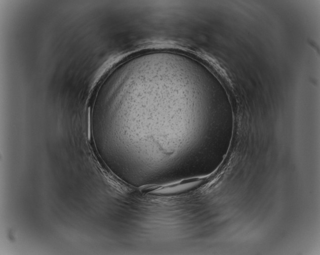 X0000097891175200803281239