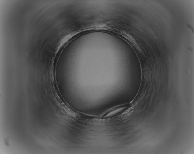 X0000097891176200803281239