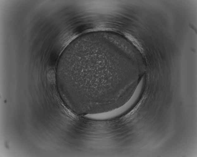 X0000097891177200803281239