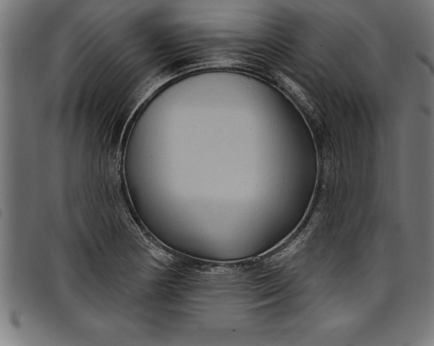 X0000097891178200803281239