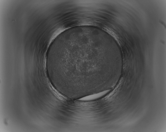 X0000097891179200803281239