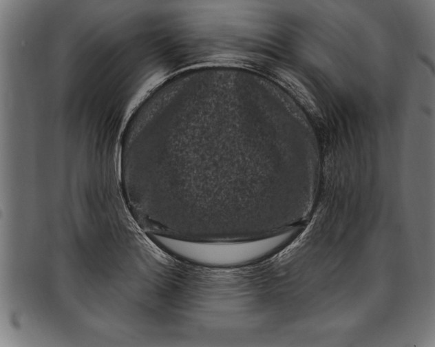 X0000097891180200803281239