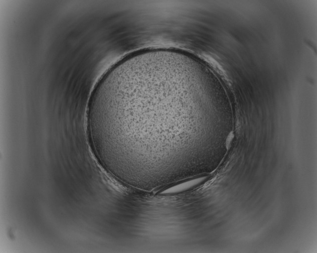 X0000097891183200803281239