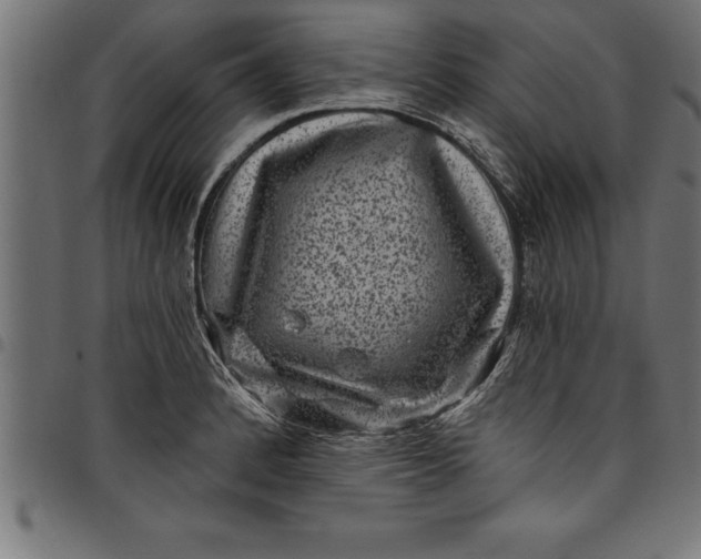 X0000097891184200803281239