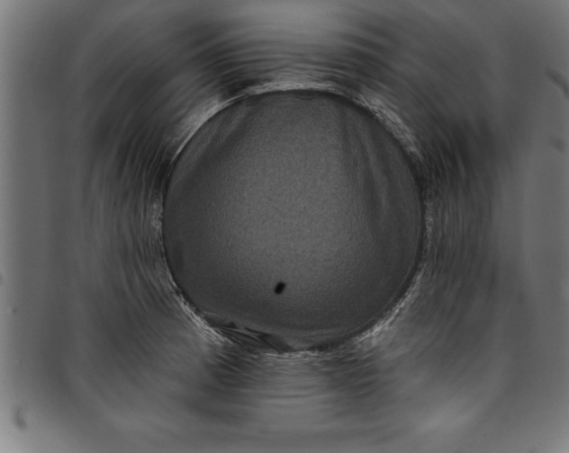 X0000097891185200803281239