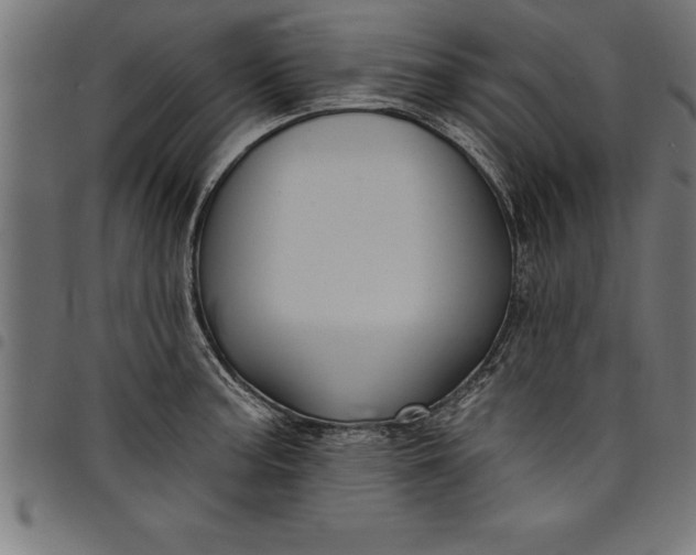 X0000097891187200803281239