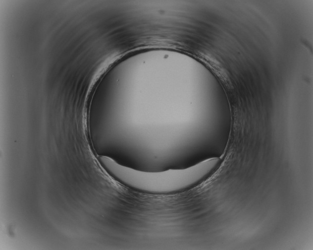 X0000097891188200803281239