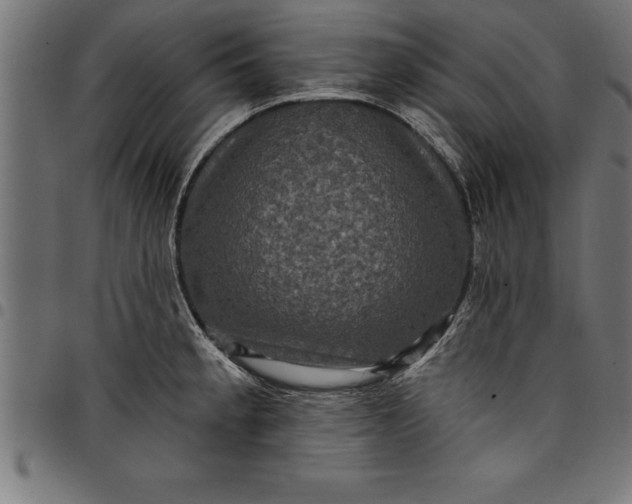 X0000097891189200803281239