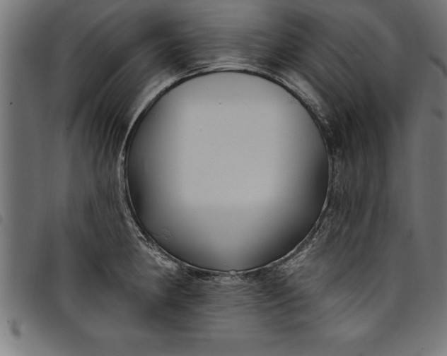 X0000097891190200803281239