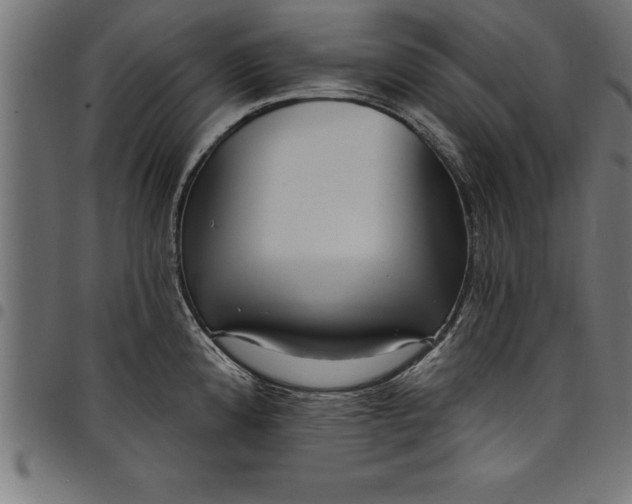 X0000097891192200803281239