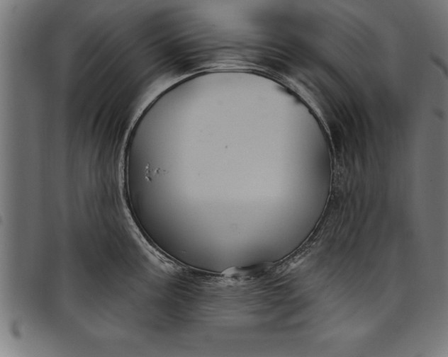 X0000097891195200803281239