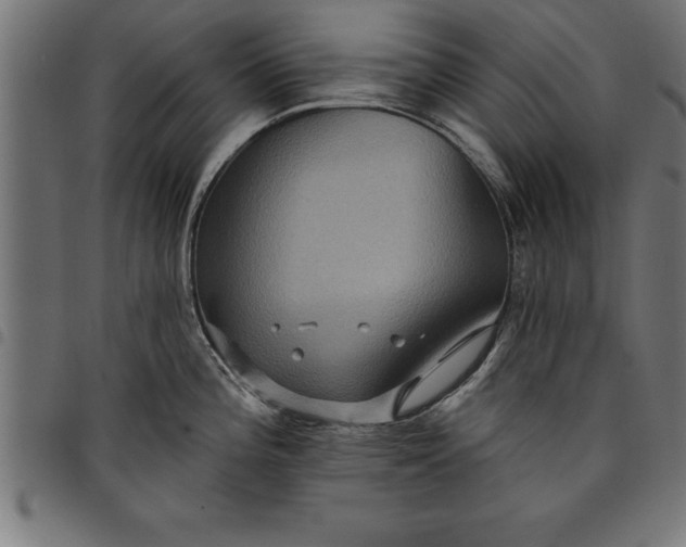 X0000097891196200803281239