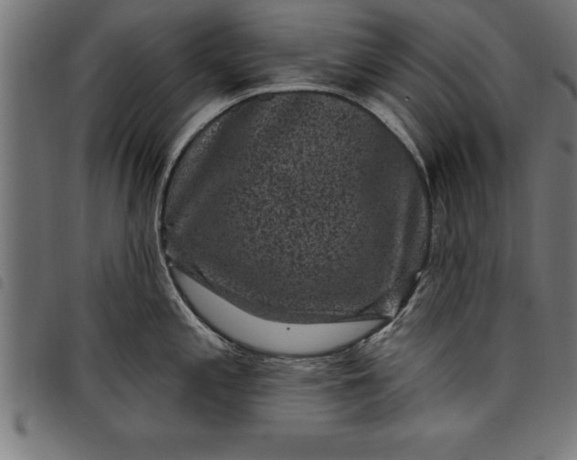 X0000097891197200803281239