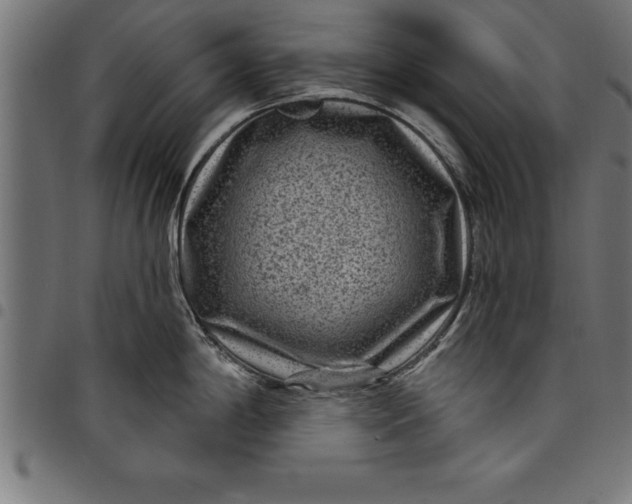 X0000097891198200803281239