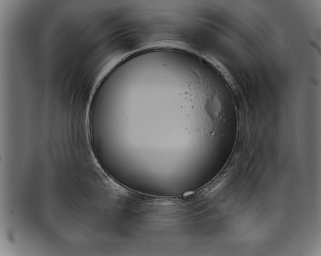 X0000097891199200803281239