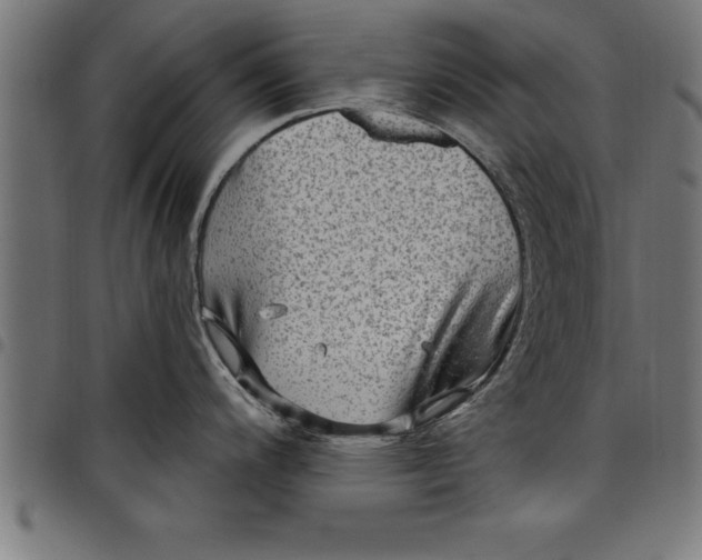 X0000097891200200803281239