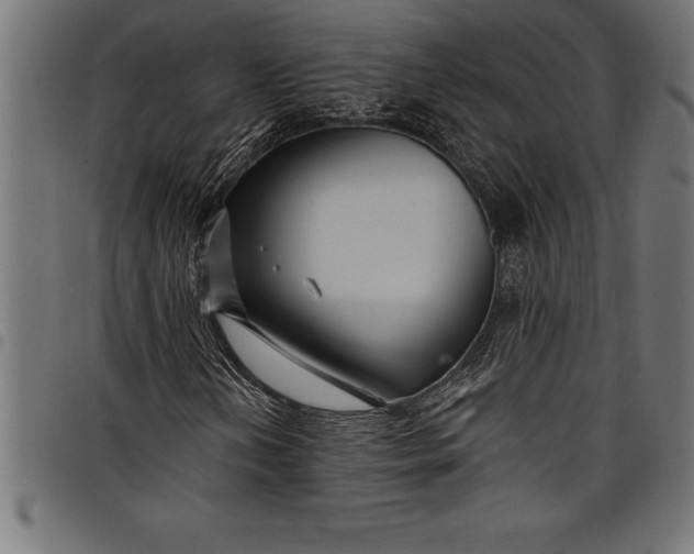 X0000097891202200803281238