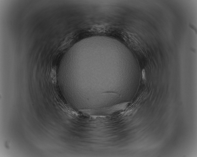 X0000097891203200803281238