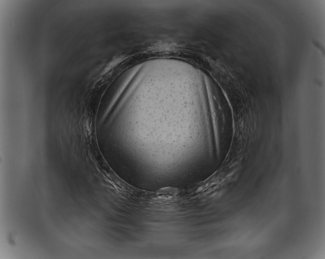 X0000097891206200803281238