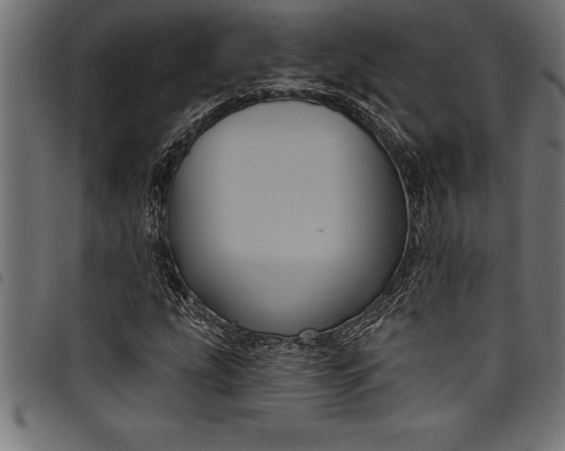 X0000097891207200803281238