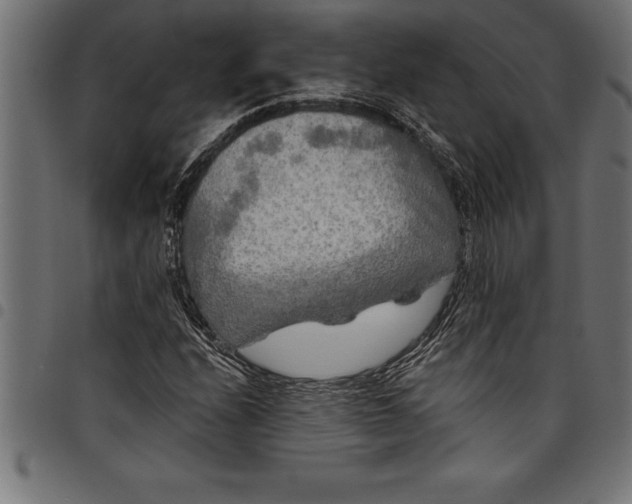 X0000097891208200803281238