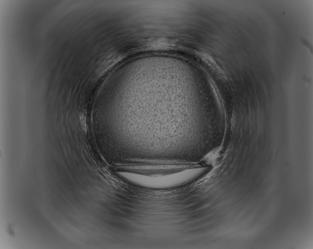 X0000097891209200803281238