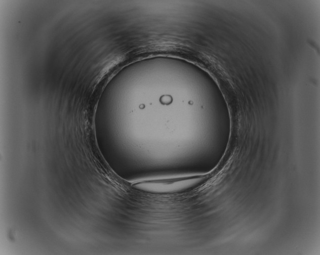 X0000097891210200803281238