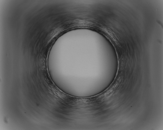 X0000097891211200803281238