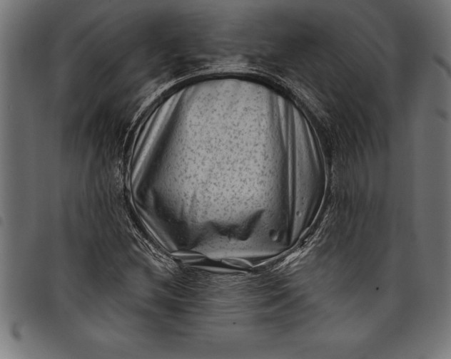 X0000097891212200803281238