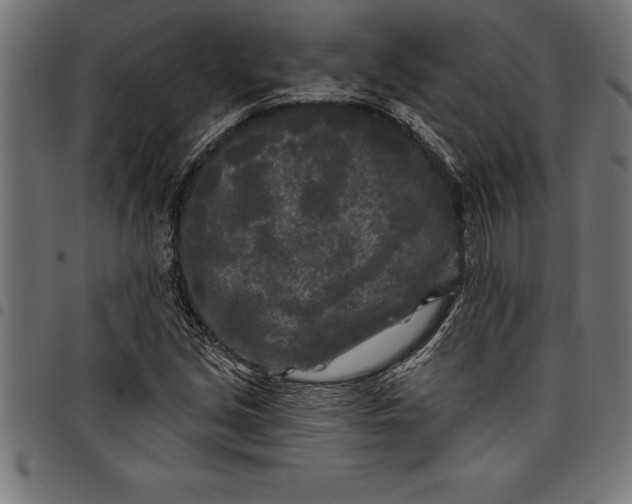 X0000097891213200803281238